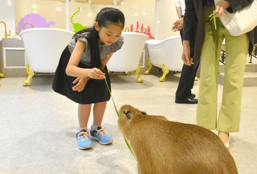 ハムスター写真